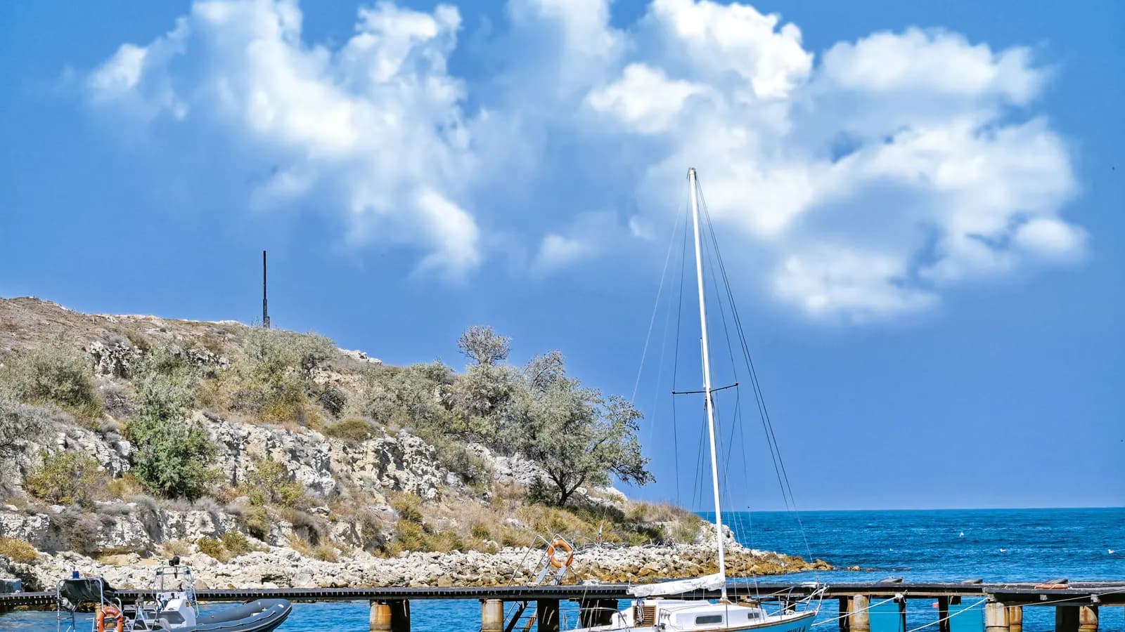 Ayvalık Tekne & Cunda Adası Turu — Ayvalık Limanı · Şeytan Sofrası · Cunda Adası · Ayvalık Koyları